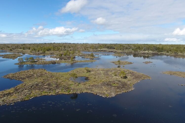 Lake Condah Tae Rak [Image credit: Tyson Lovett-Murray, 2017]